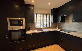 Contemporary 1 Bedroom Apartment
